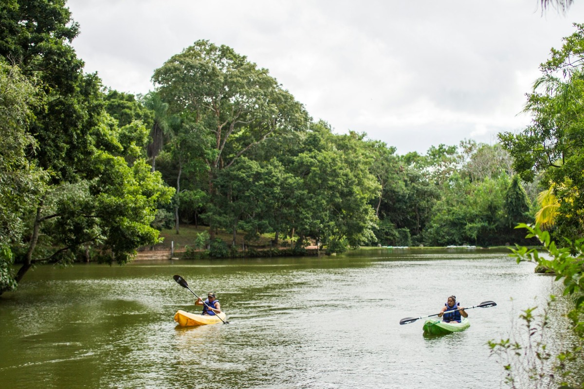 Rent a kayak in Orange Beach at Cotton Bayou Boat Launch